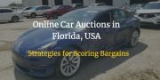 Virtual Treasure Hunt: Strategies for Scoring Bargains in Online Car Auctions